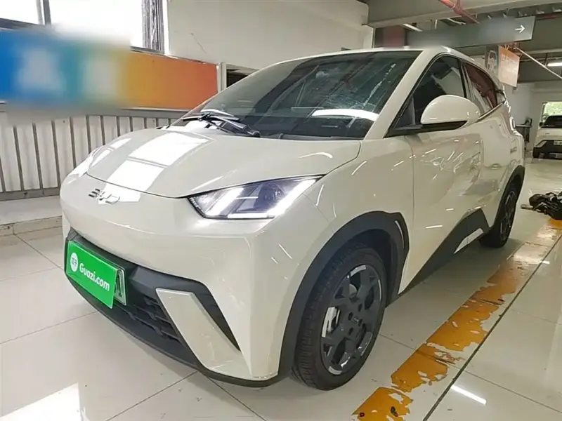 BYD Seagull
