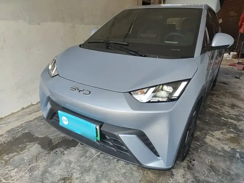 BYD Seagull