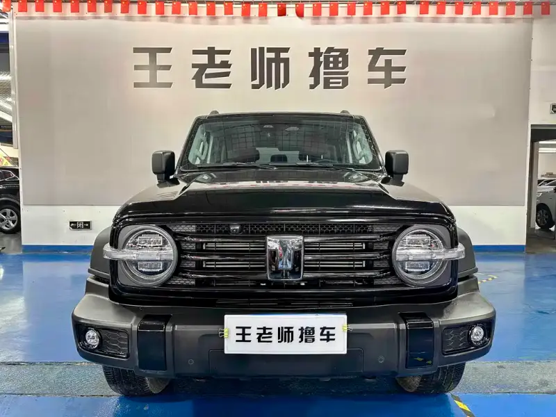 Tank 300