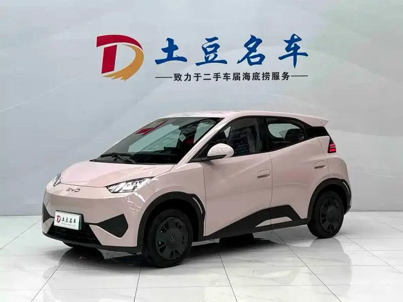 BYD Seagull