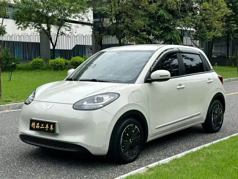 Wuling Bingo