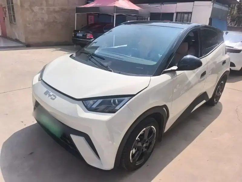 BYD Seagull