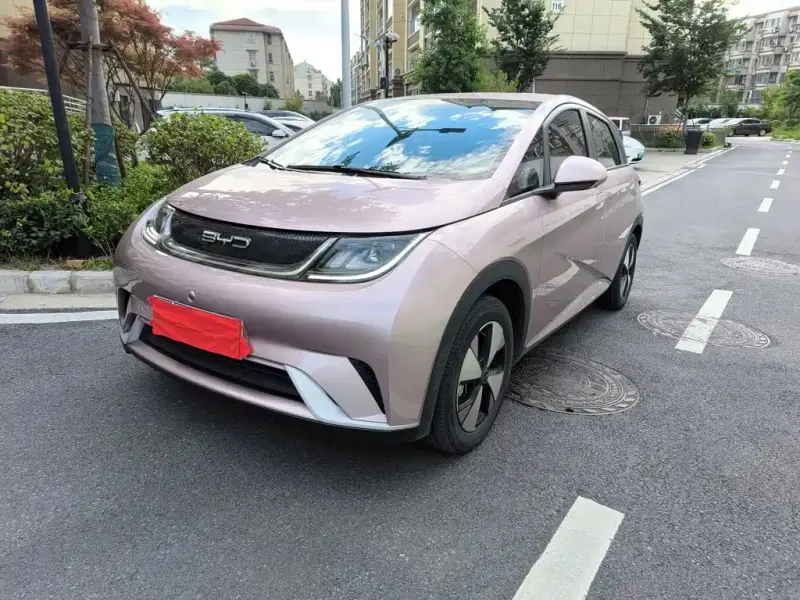 BYD Dolphin