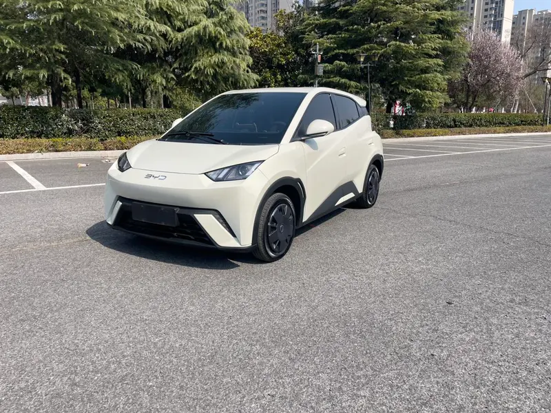 BYD Seagull