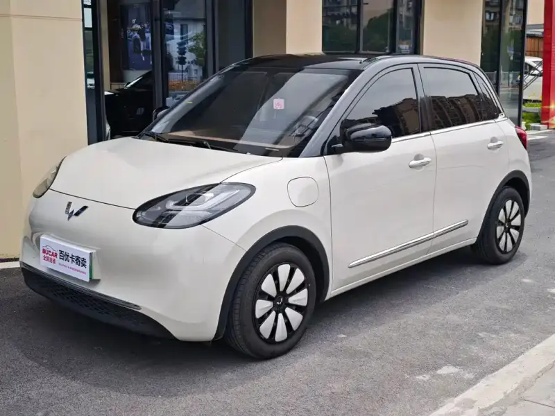 Wuling Bingo