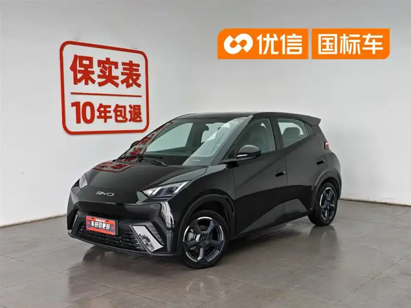BYD Seagull