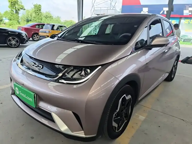 BYD Dolphin