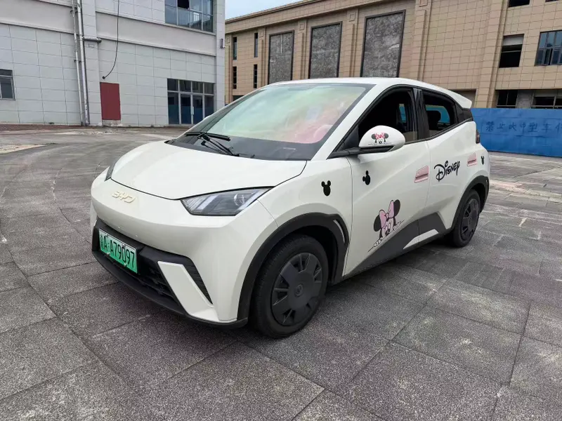 BYD Seagull