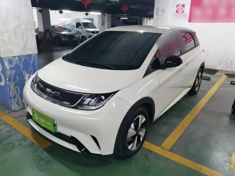 BYD Dolphin