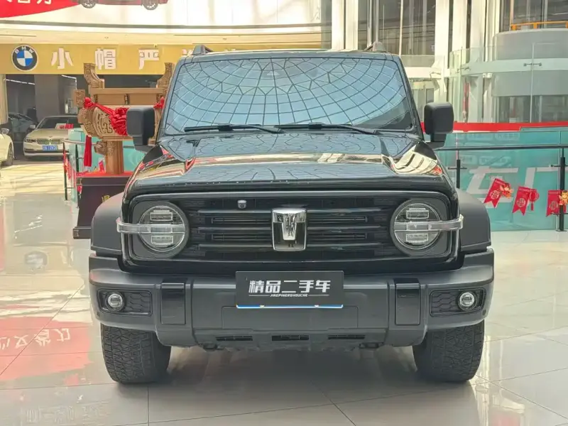 Tank 300