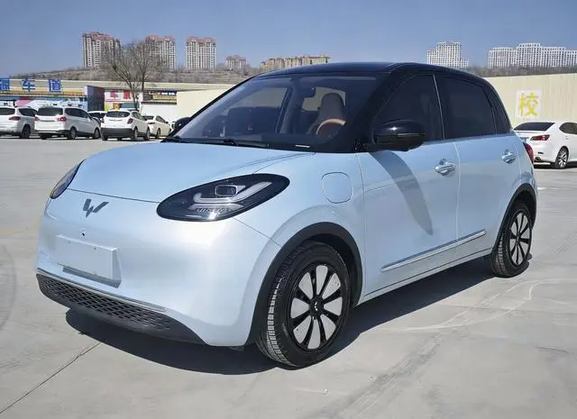 Wuling Bingo
