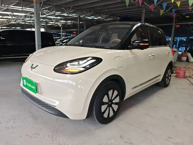Wuling Bingo