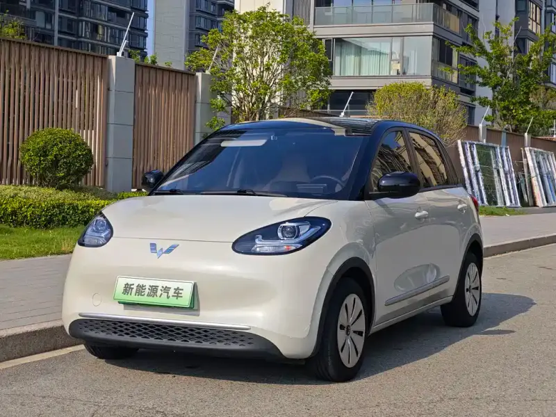 Wuling Bingo