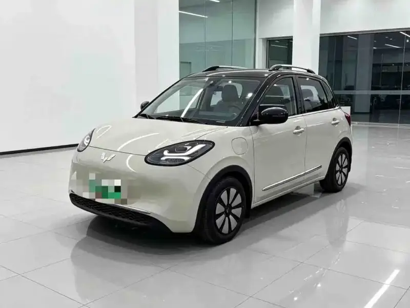 Wuling Bingo