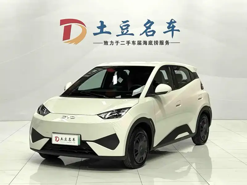 BYD Seagull