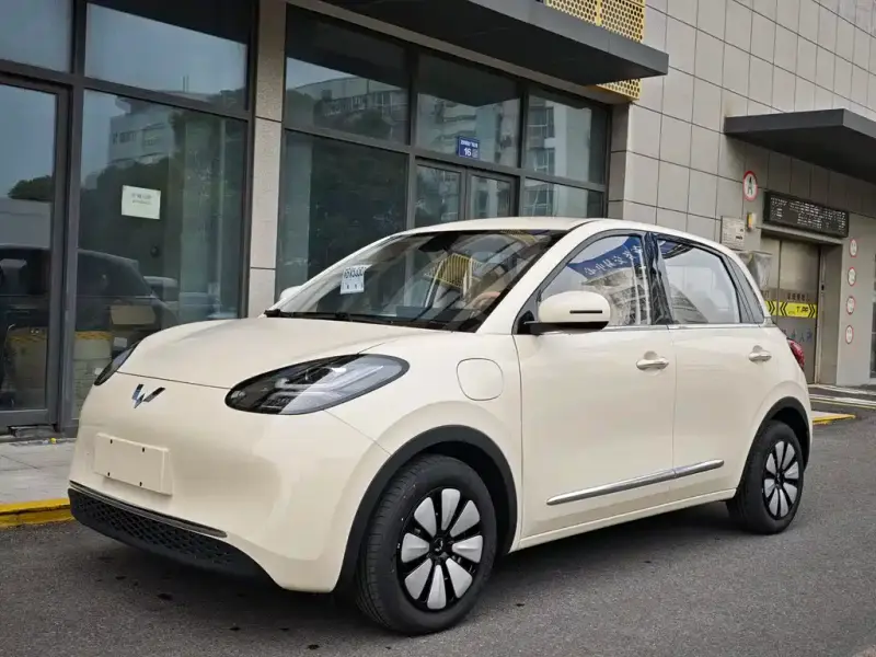 Wuling Bingo