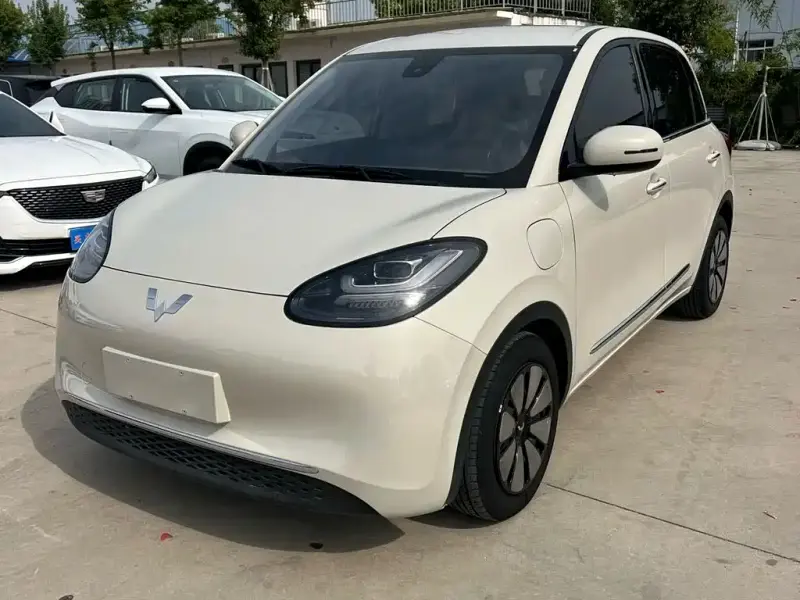 Wuling Bingo