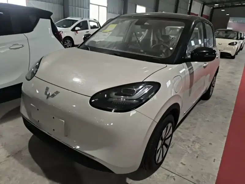 Wuling Bingo