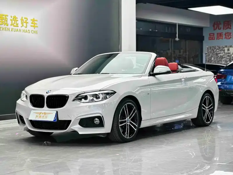 BMW 2 Series (Import)