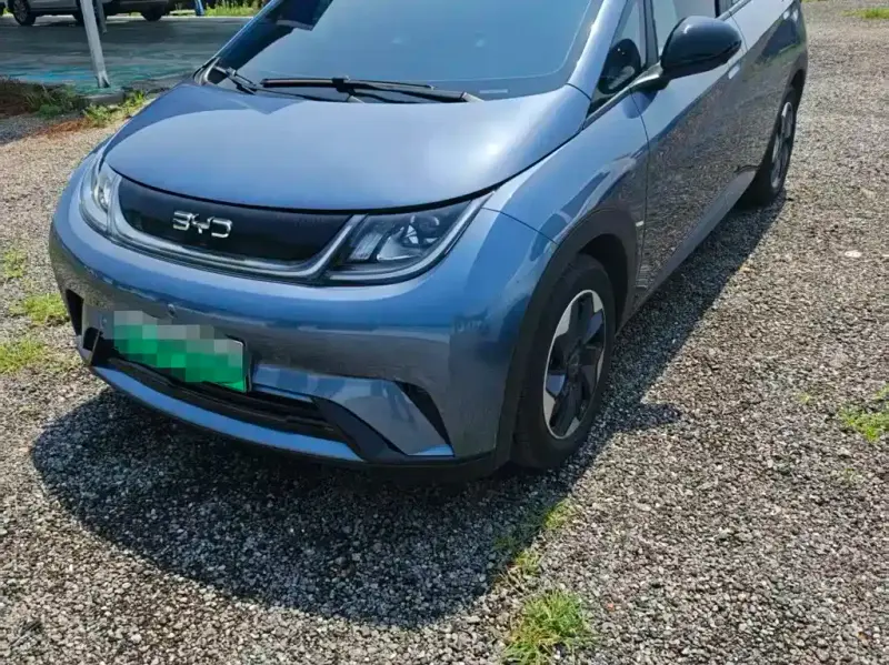 BYD Dolphin