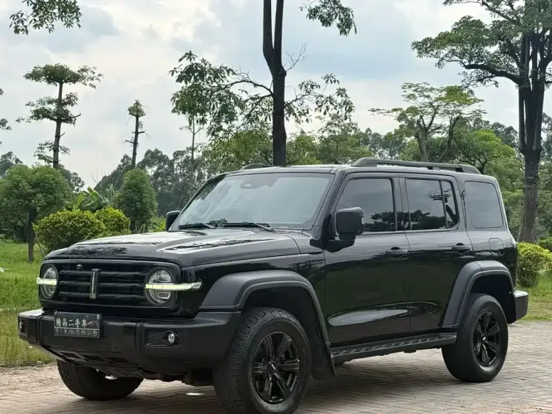 Tank 300