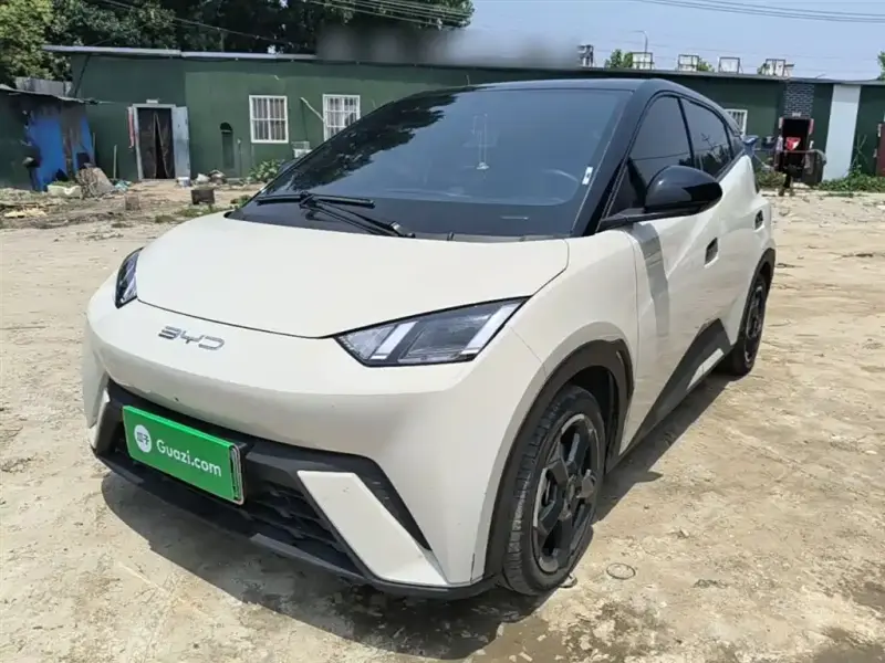 BYD Seagull