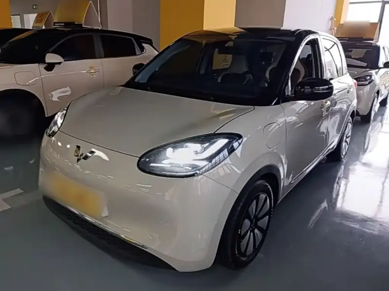 Wuling Bingo