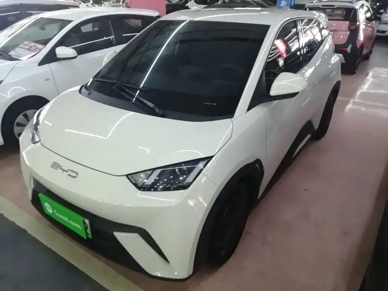BYD Seagull