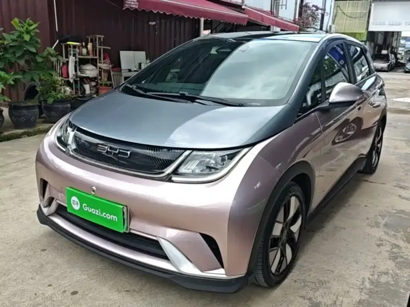 BYD Dolphin