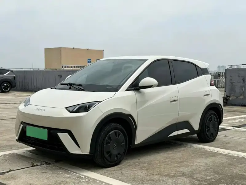 BYD Seagull