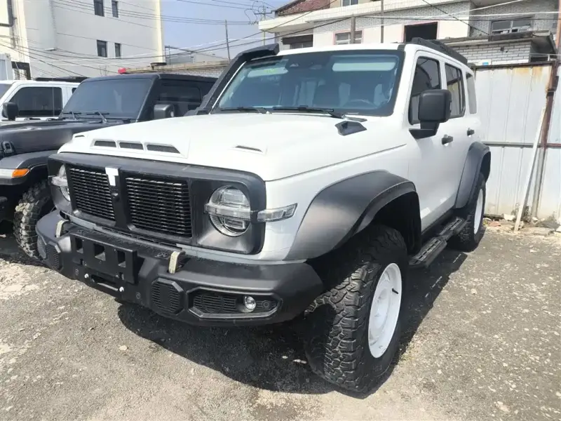 Tank 300