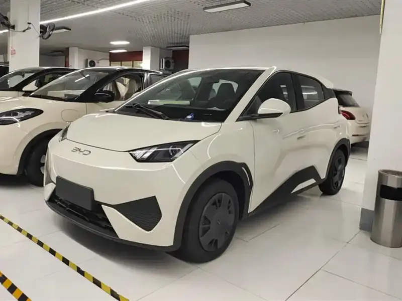 BYD Seagull