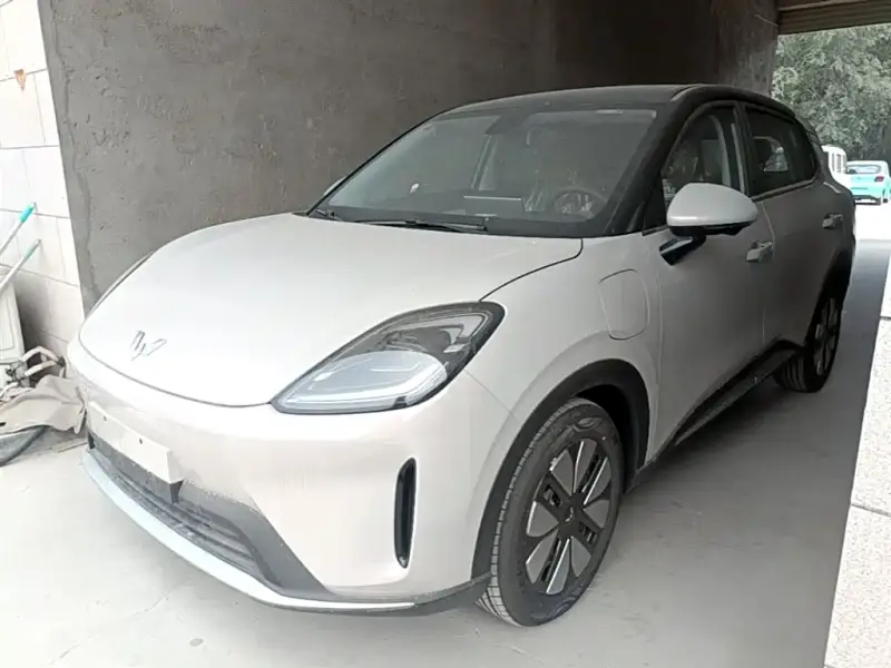 Wuling Bingo S