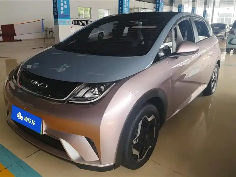 BYD Dolphin