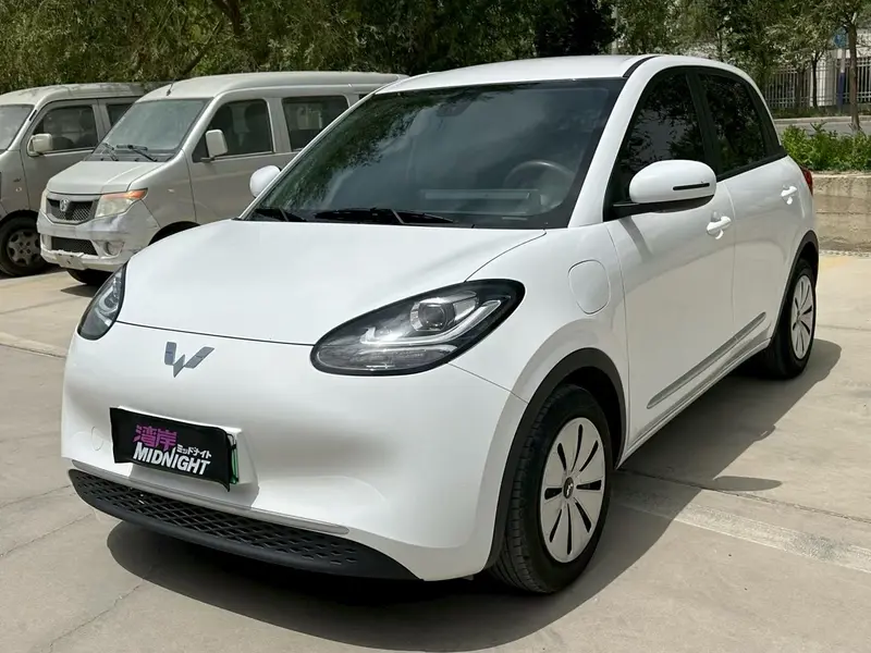 Wuling Bingo
