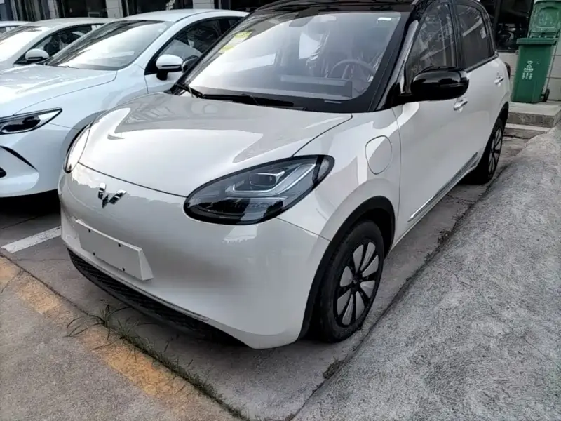 Wuling Bingo