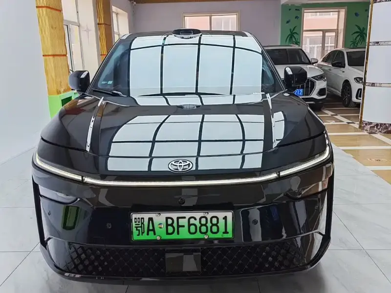 Toyota Bozhi 3X