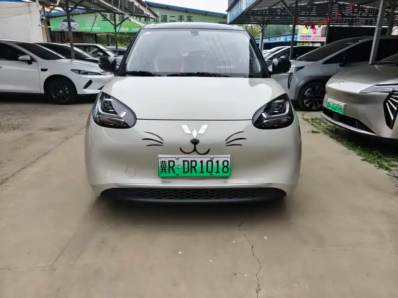 Wuling Bingo