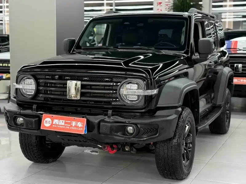 Tank 300