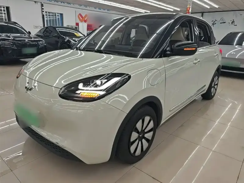 Wuling Bingo