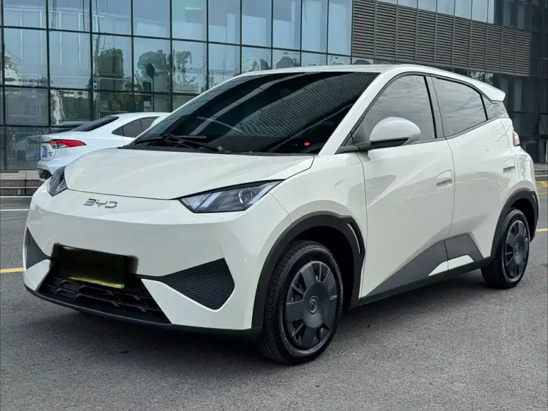 BYD Seagull