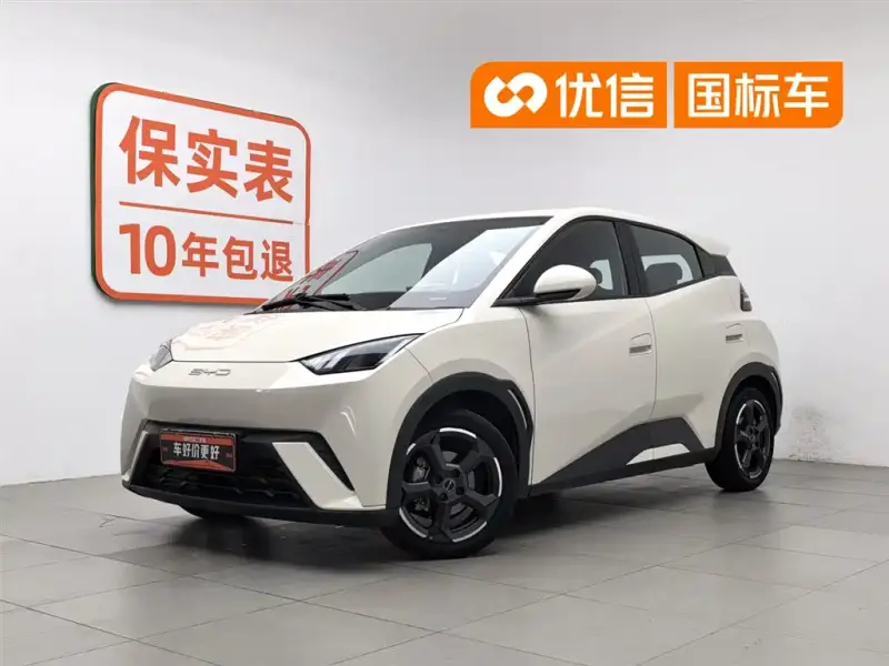 BYD Seagull