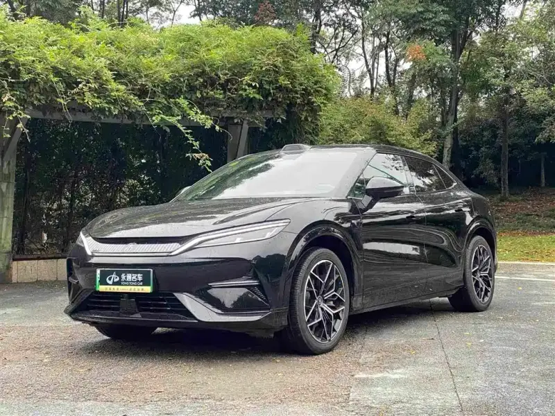 BYD L EV