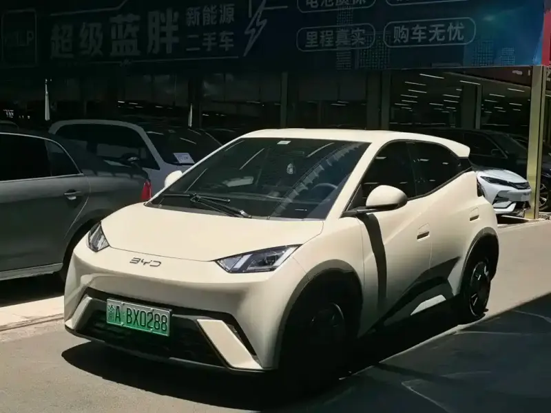 BYD Seagull