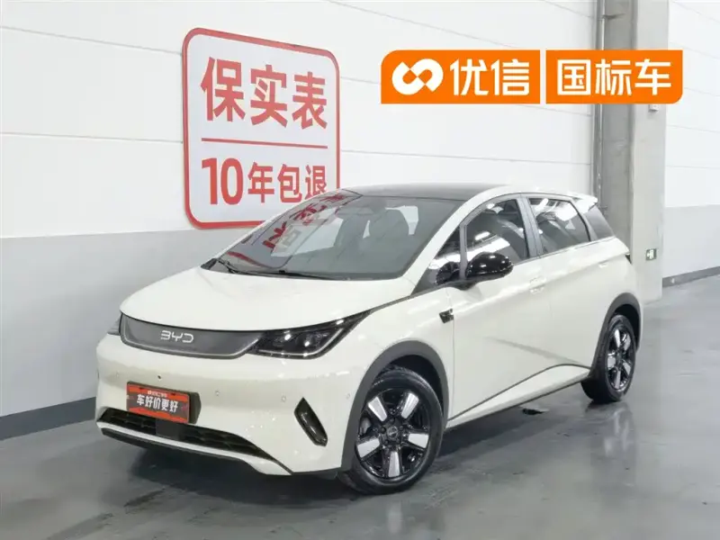 BYD Dolphin