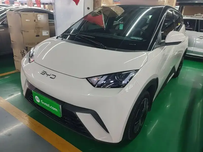 BYD Seagull
