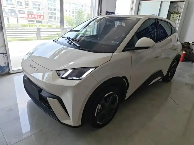 BYD Seagull