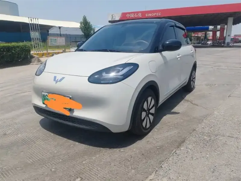 Wuling Bingo