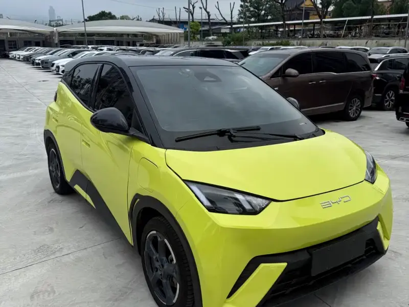 BYD Seagull
