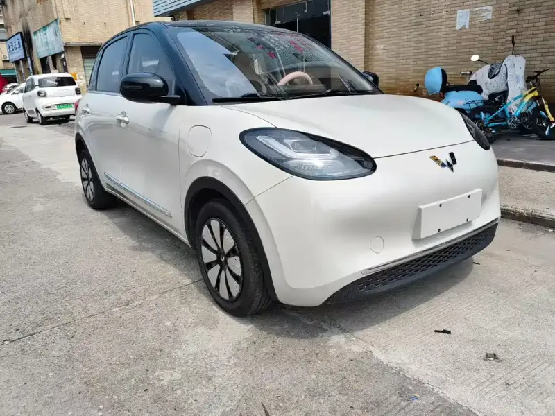 Wuling Bingo
